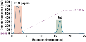 ProL_AF-rProtein-L-650F-Slide11.png